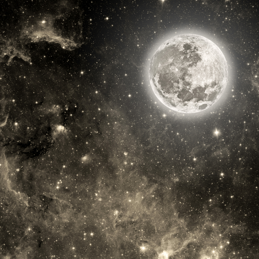 The Moon through the Astrological Signs