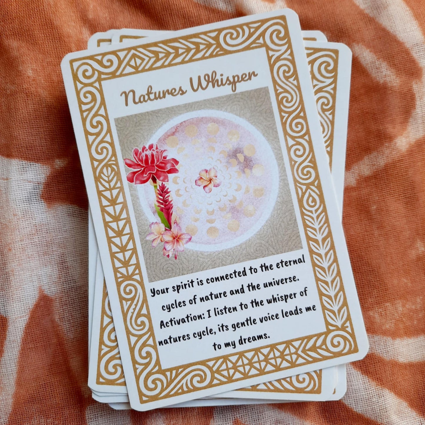 Pasifika Guidance Cards